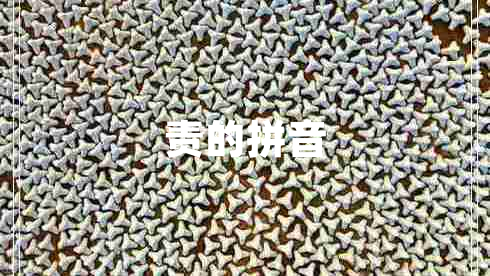 责的拼音