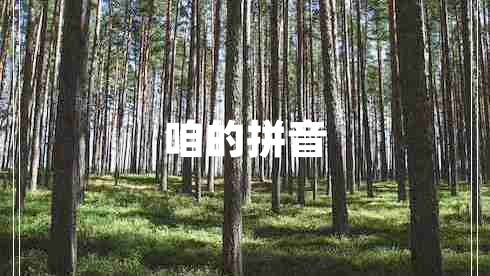咱的拼音