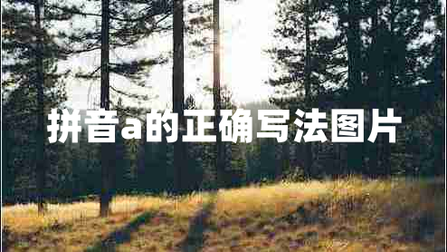 拼音a的正确写法图片