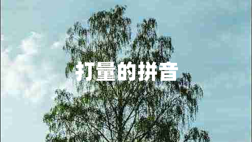 打量的拼音