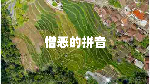 憎恶的拼音