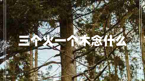 三个火一个木念什么