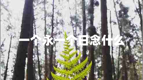 一个永一个日念什么
