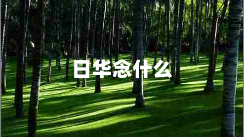 日华念什么