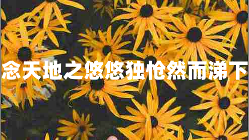 念天地之悠悠独怆然而涕下