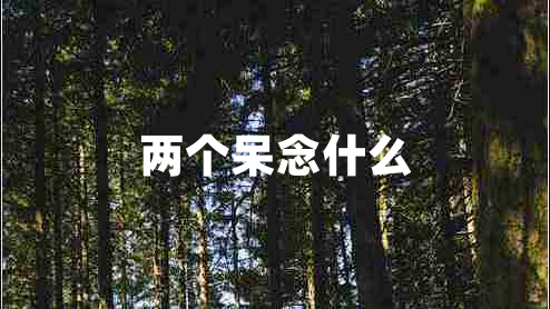 两个呆念什么