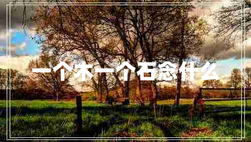 一个木一个石念什么