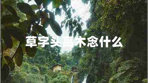 草字头高木念什么