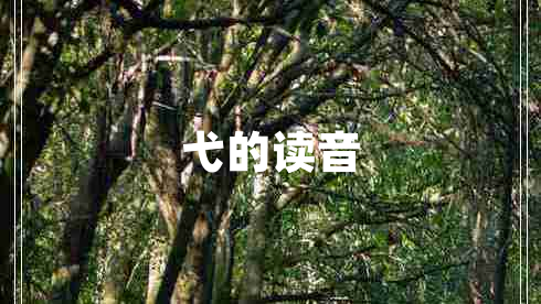 弋的读音