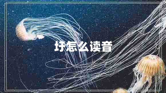 圩怎么读音