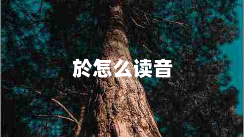 於怎么读音