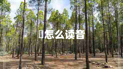 翀怎么读音