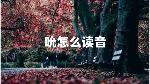 吮怎么读音