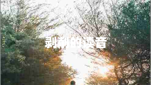 剥削的读音
