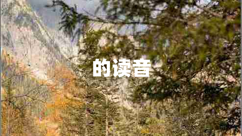 的读音