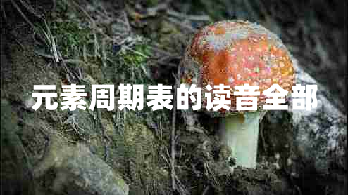 元素周期表的读音全部