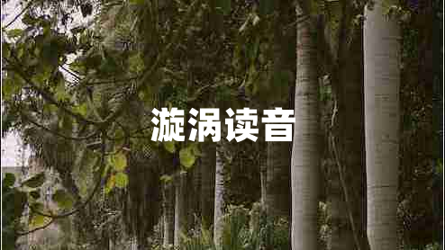 漩涡读音