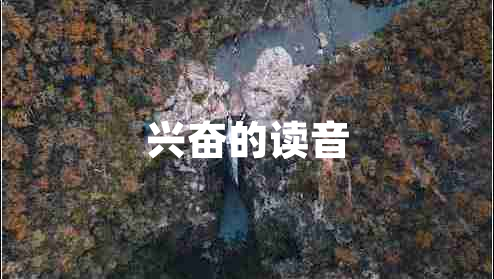 兴奋的读音