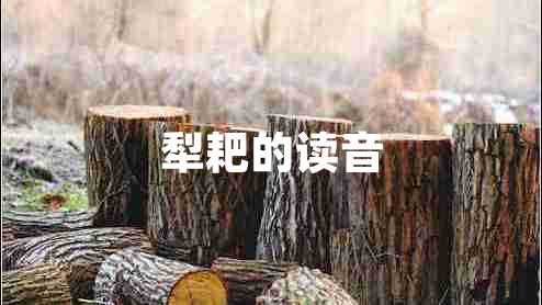 犁耙的读音 犁耙的读音