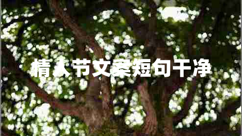 情人节文案短句干净