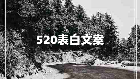 520表白文案