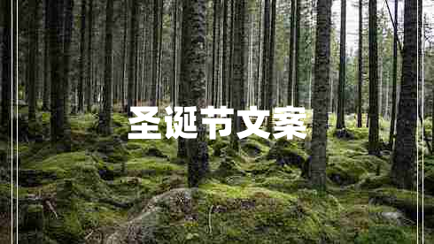 圣诞节文案