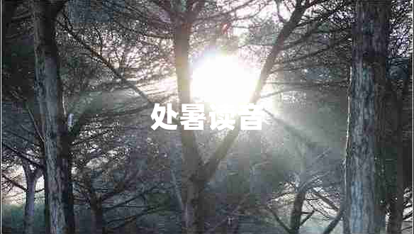 处暑读音