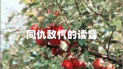 同仇敌忾的读音