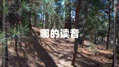 哪的读音