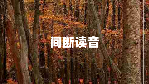 间断读音