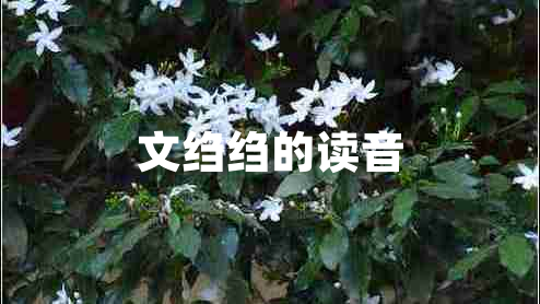 文绉绉的读音