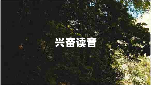 兴奋读音