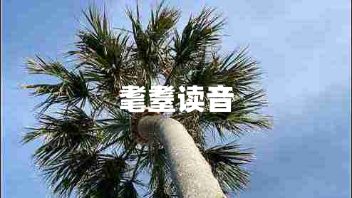 耄耋读音