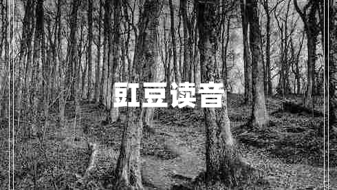 豇豆读音