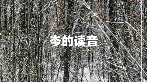 岑的读音