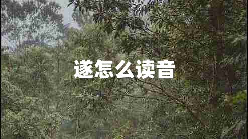 遂怎么读音