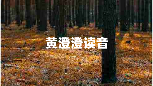 黄澄澄读音