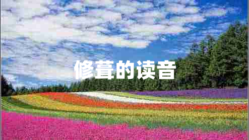 修葺的读音