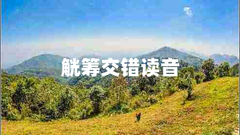 觥筹交错读音
