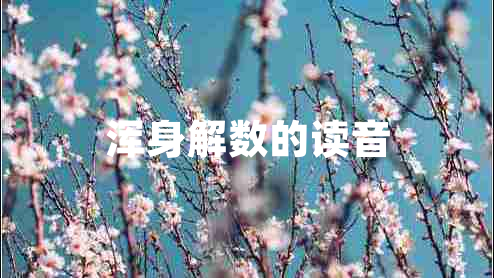 浑身解数的读音
