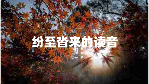 纷至沓来的读音