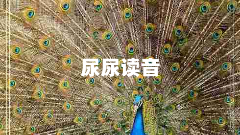 尿尿读音