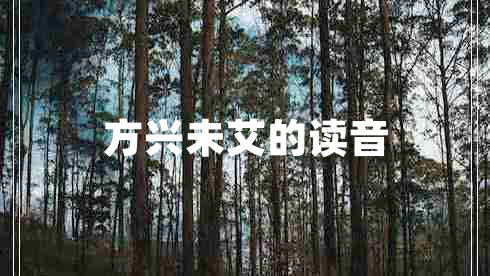 方兴未艾的读音