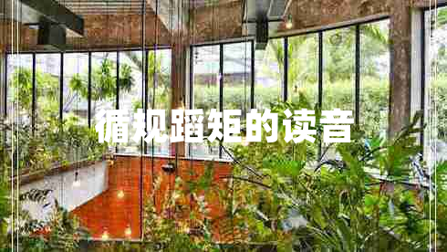 循规蹈矩的读音