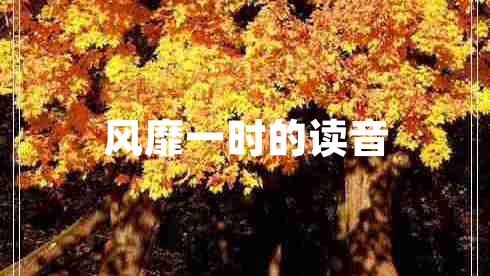 风靡一时的读音