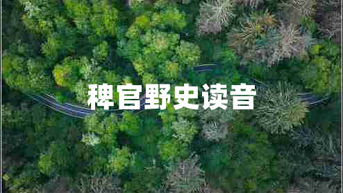 稗官野史读音