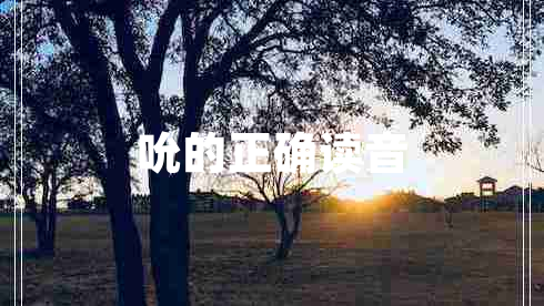 吮的正确读音