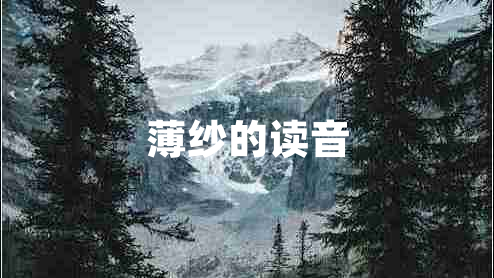薄纱的读音