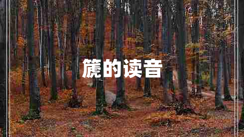 篪的读音