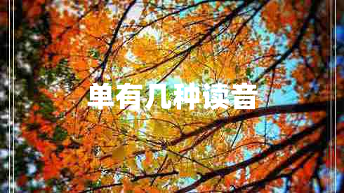 单有几种读音